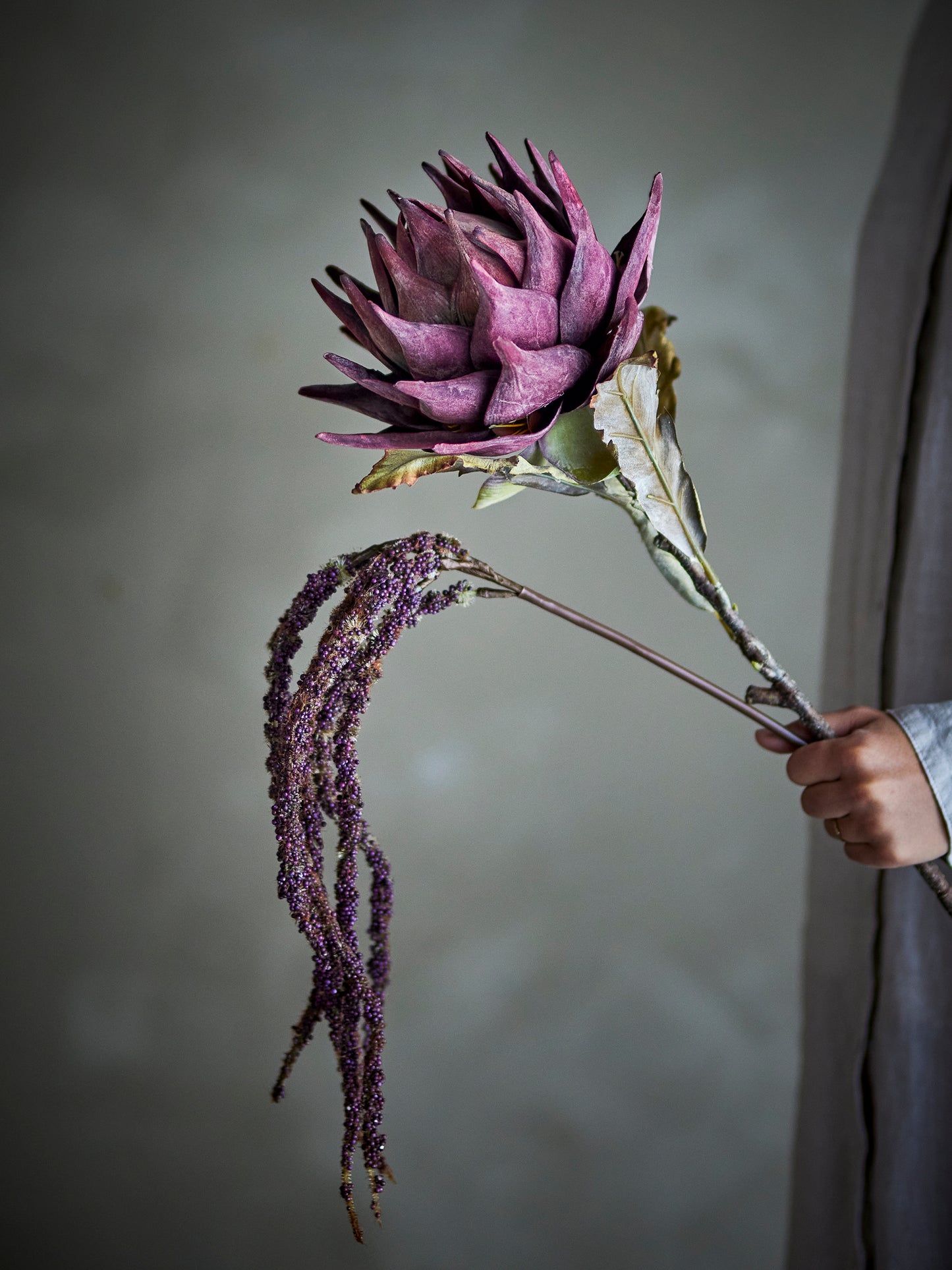 PROTEA TIGE VIOLETTE - D20xH76cm