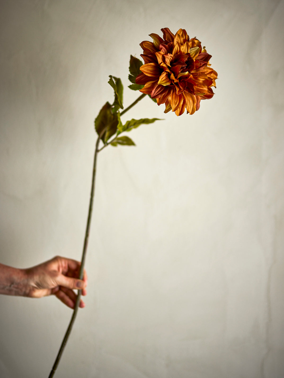 CHRYSANTHEME TIGE ORANGE - D14xH73cm