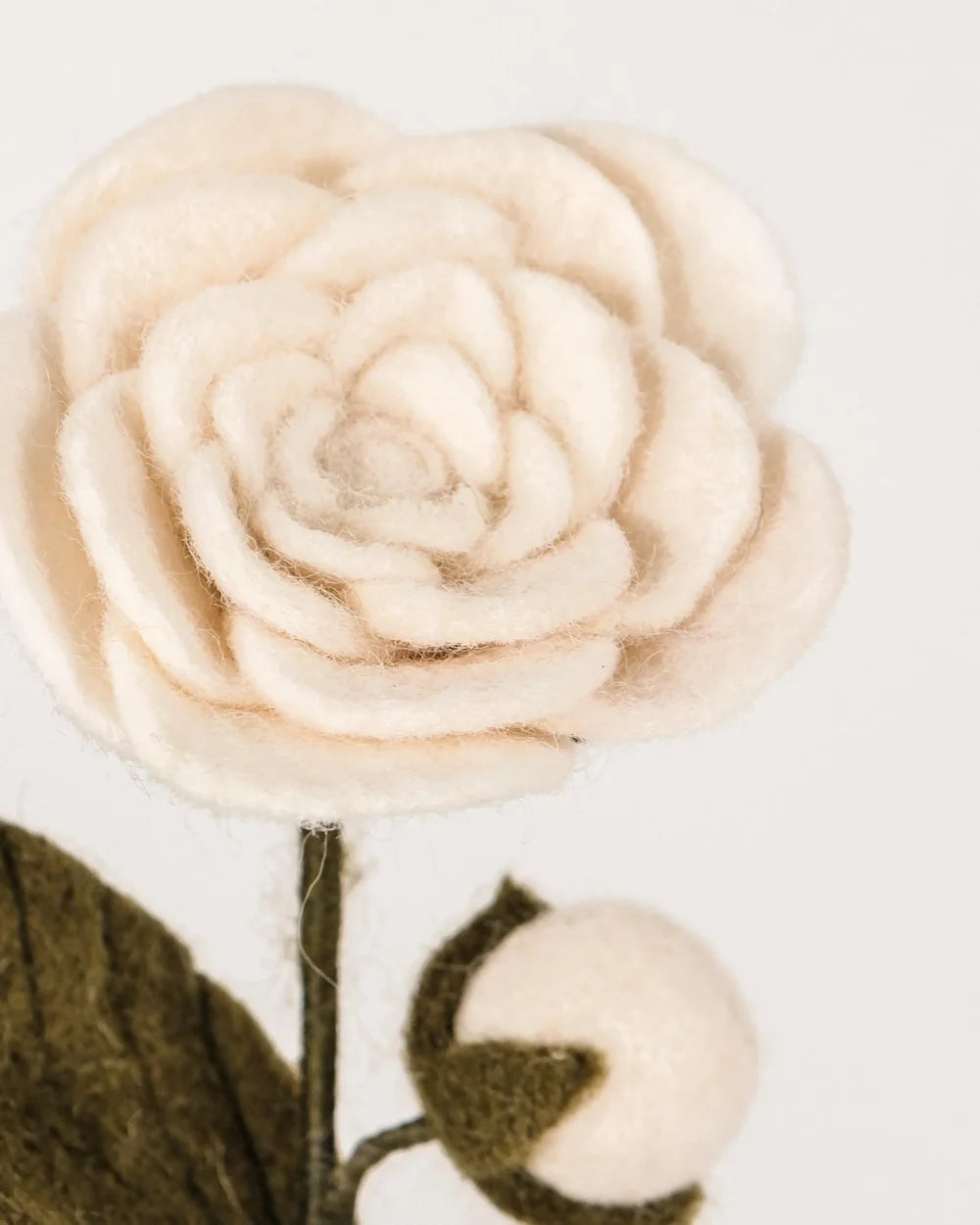 BRANCHE DE CAMELIA - LAINE FEUTREE BLANCHE
