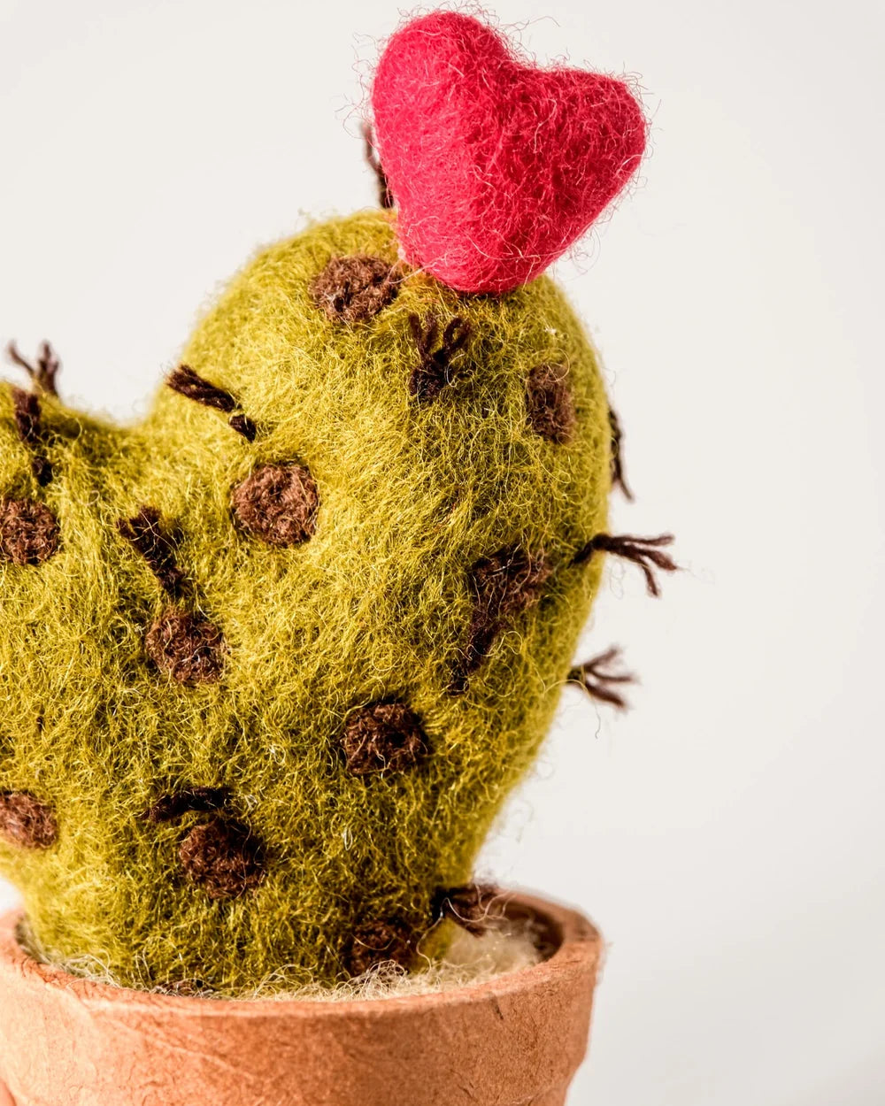 CACTUS COEUR - LAINE FEUTREE