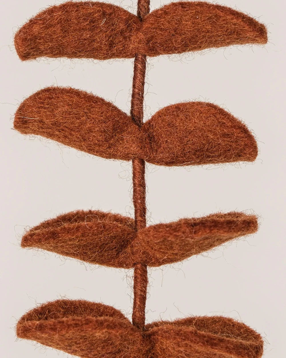 BRANCHE D'EUCALYPTUS MARRON - LAINE FEUTREE