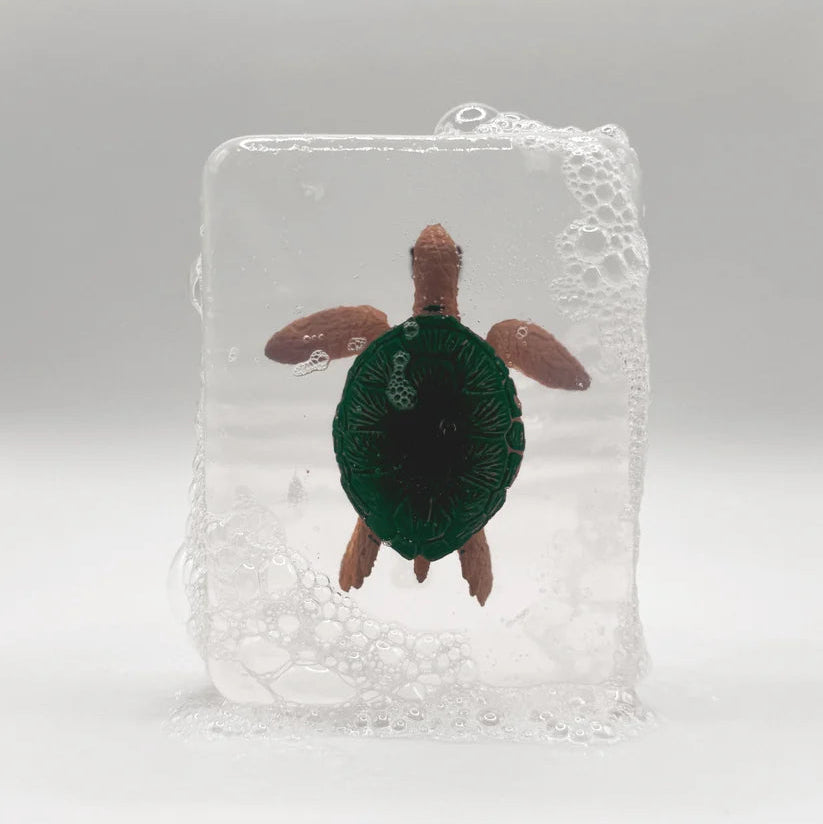 SAVON SOLIDE - TORTUE