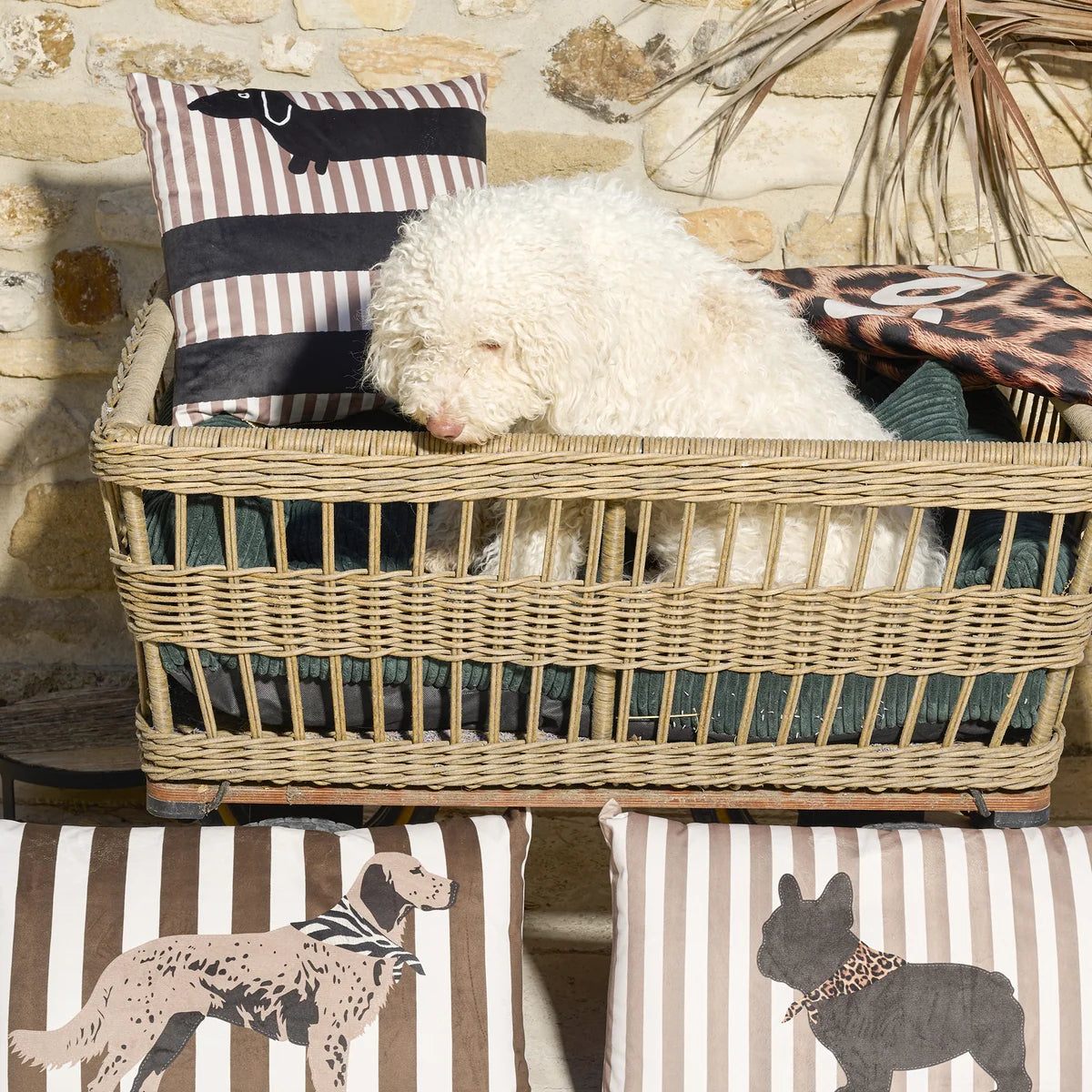 COUSSIN VELOURS LONG TECKEL - 45x45CM