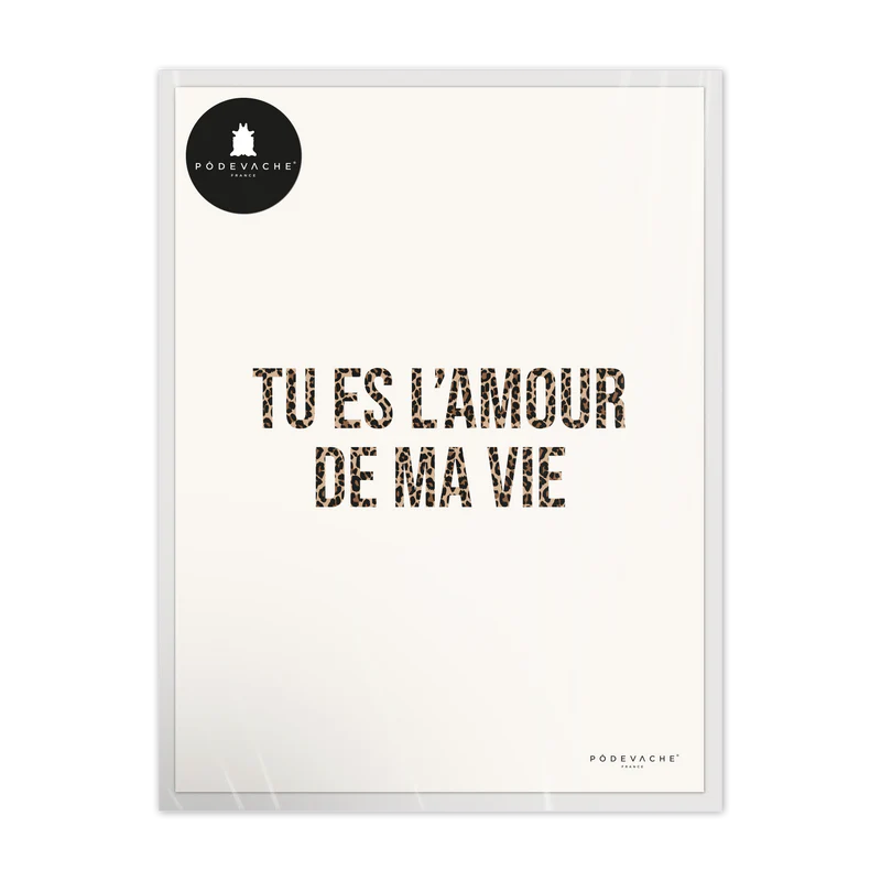 AFFICHE 30x40CM - L'AMOUR DE MA VIE