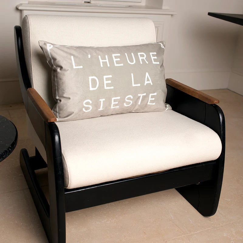 COUSSIN VELOURS MIRCO - 4OX60 CM