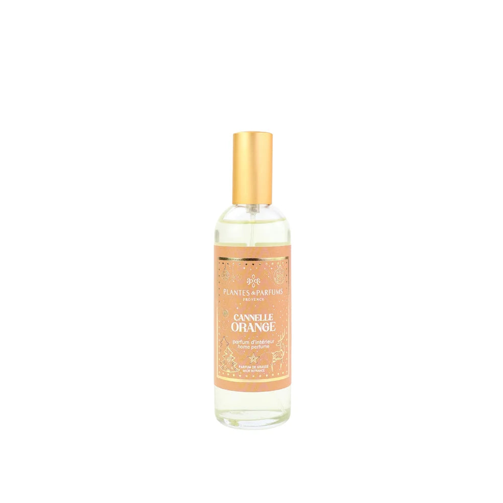 PARFUM D'INTERIEUR 100ML - CANNELLE ORANGE