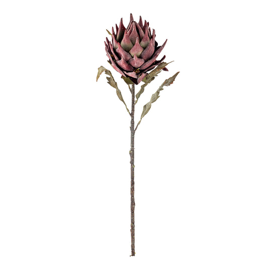 PROTEA TIGE VIOLETTE - D20xH76cm