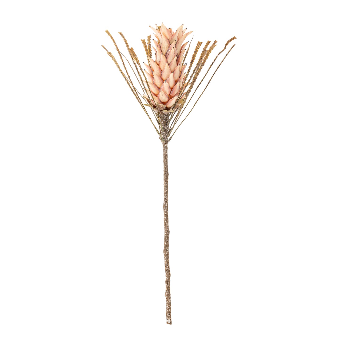 PALM TIGE ROSE - D20xH73cm