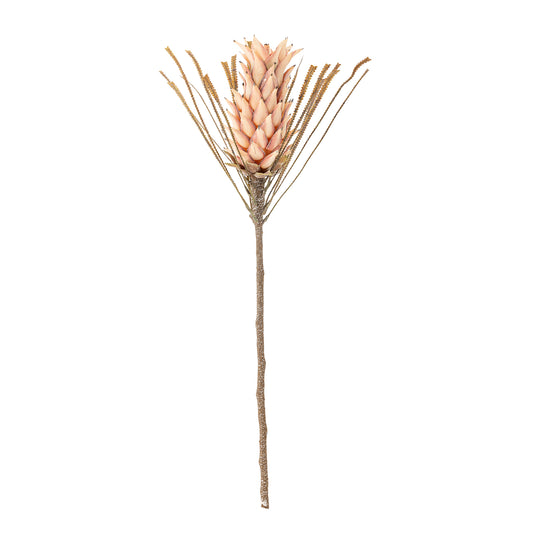 PALM TIGE ROSE - D20xH73cm