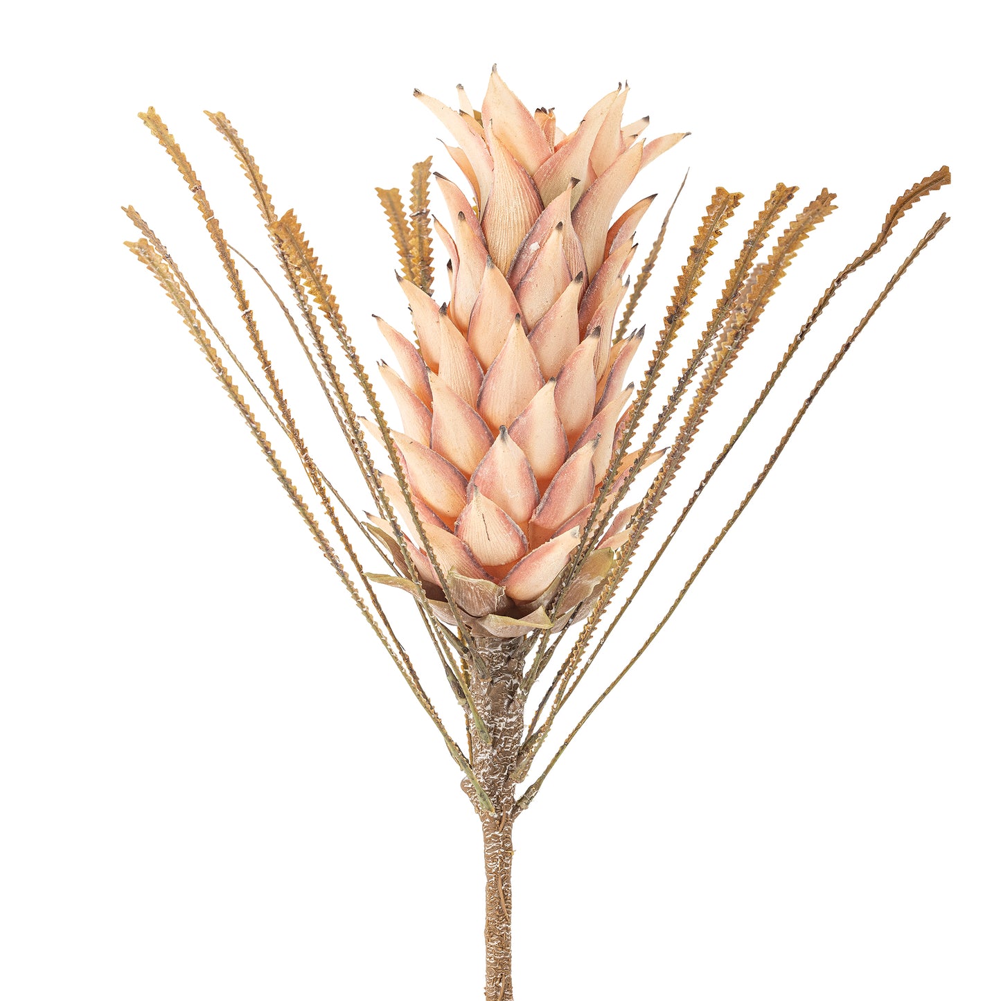 PALM TIGE ROSE - D20xH73cm
