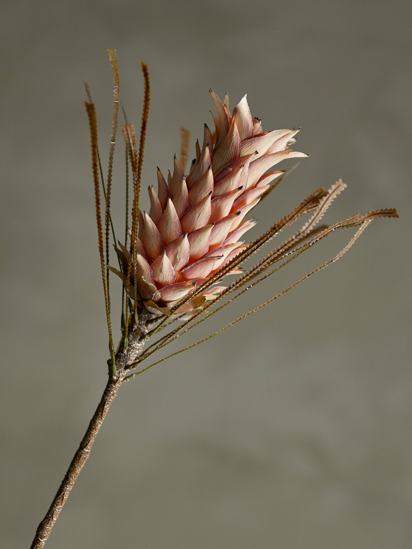 PALM TIGE ROSE - D20xH73cm