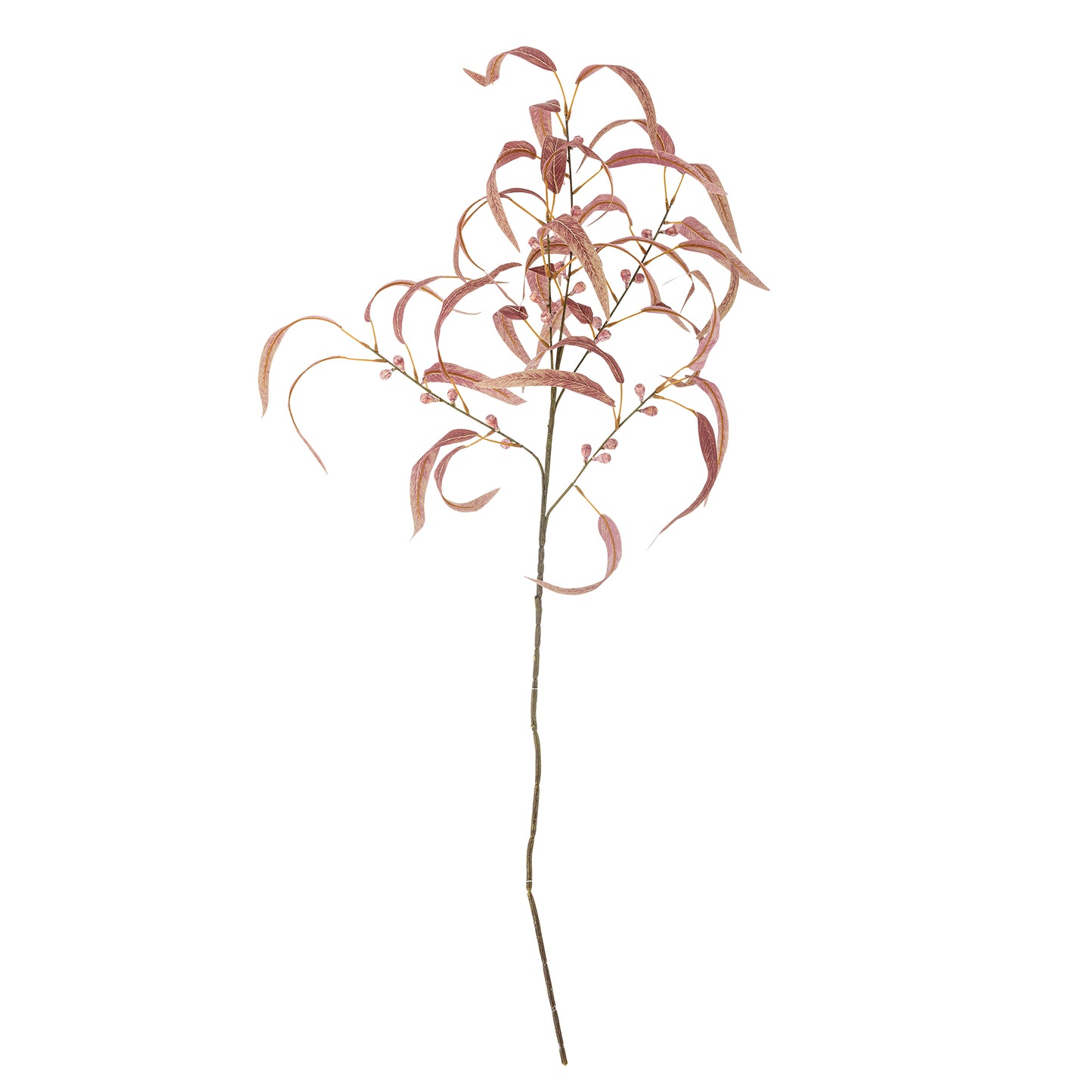 EUCALYPTUS TIGE ROUGE- D35xH100cm