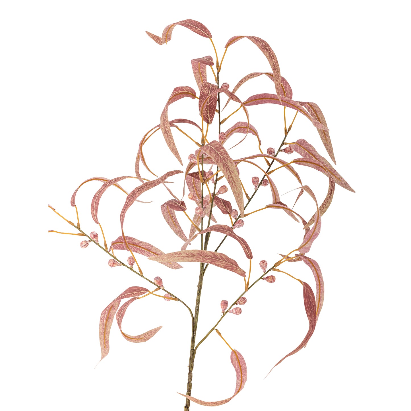 EUCALYPTUS TIGE ROUGE- D35xH100cm
