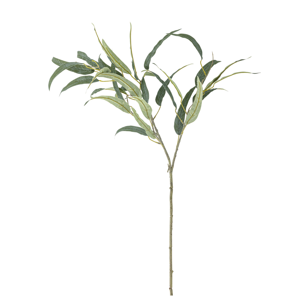 EUCALYPTUS TIGE VERTE - D30xH185cm