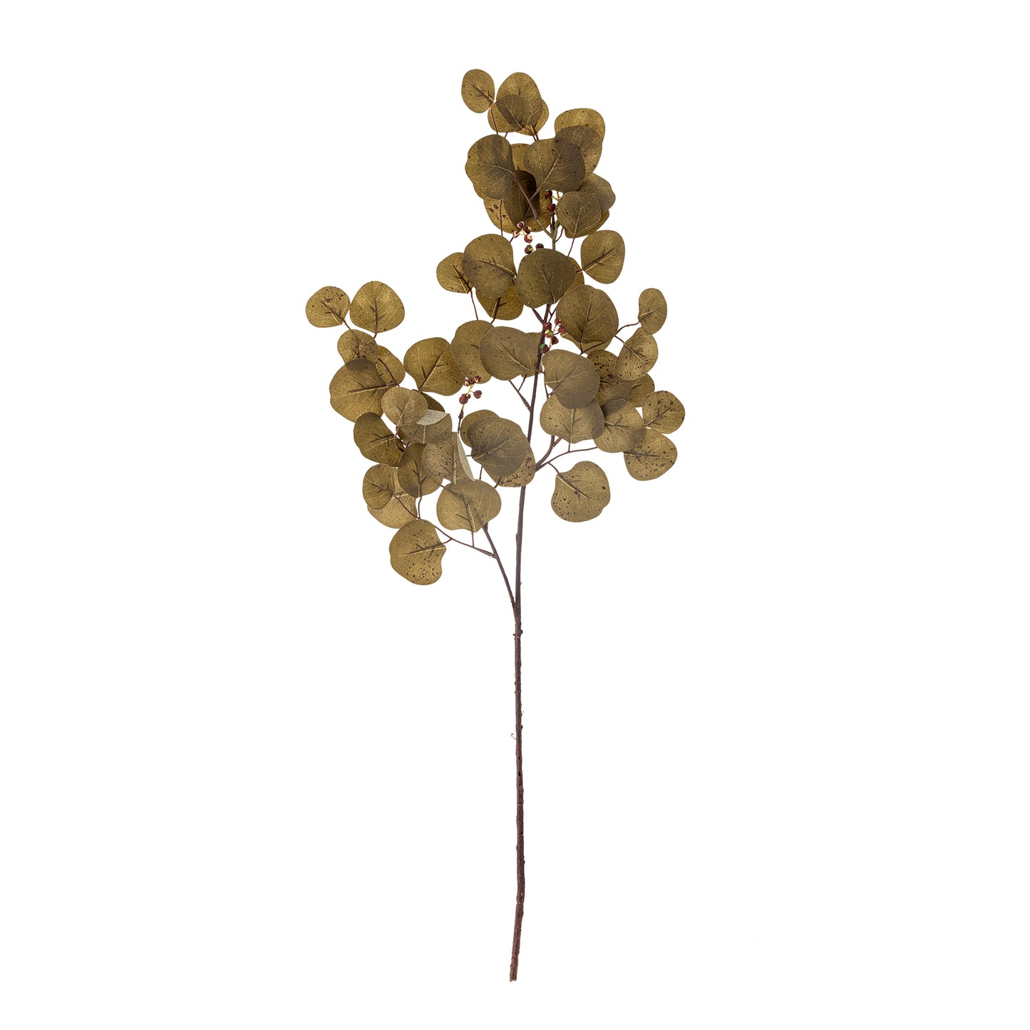 EUCALYPTUS TIGE MARRON - D30xH85cm