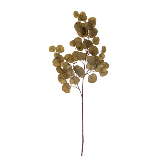 EUCALYPTUS TIGE MARRON - D30xH85cm