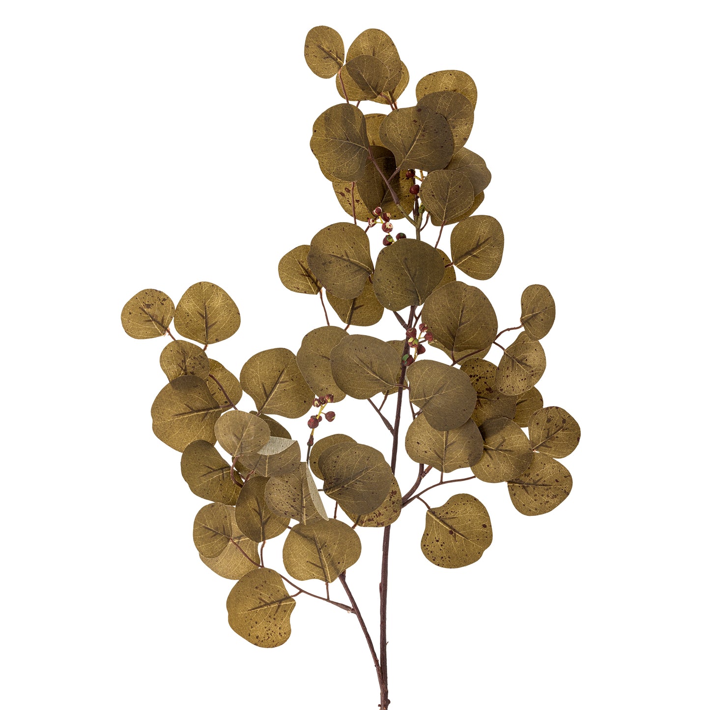 EUCALYPTUS TIGE MARRON - D30xH85cm