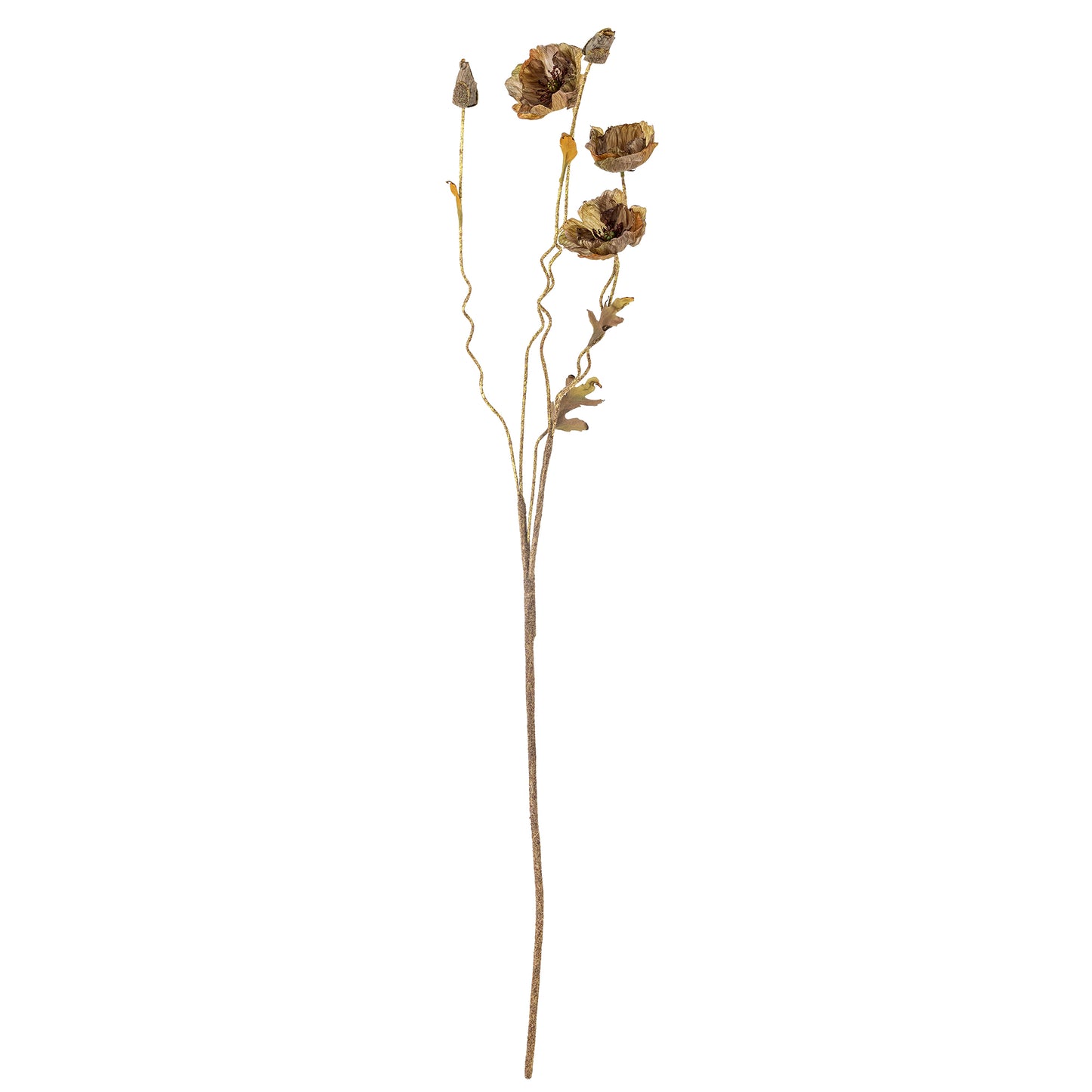 COQUELICOT TIGE MARRON - D16xH104cm