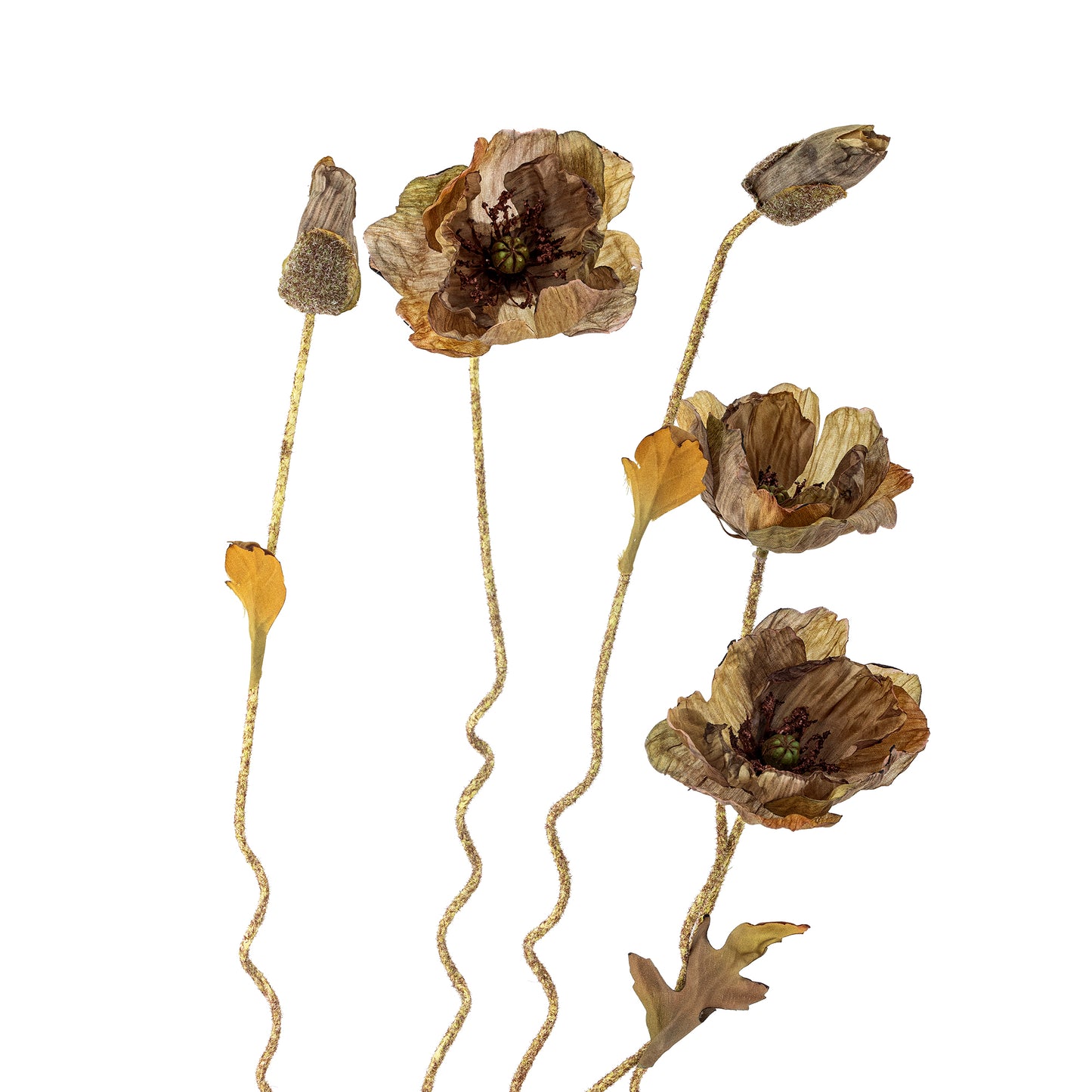 COQUELICOT TIGE MARRON - D16xH104cm