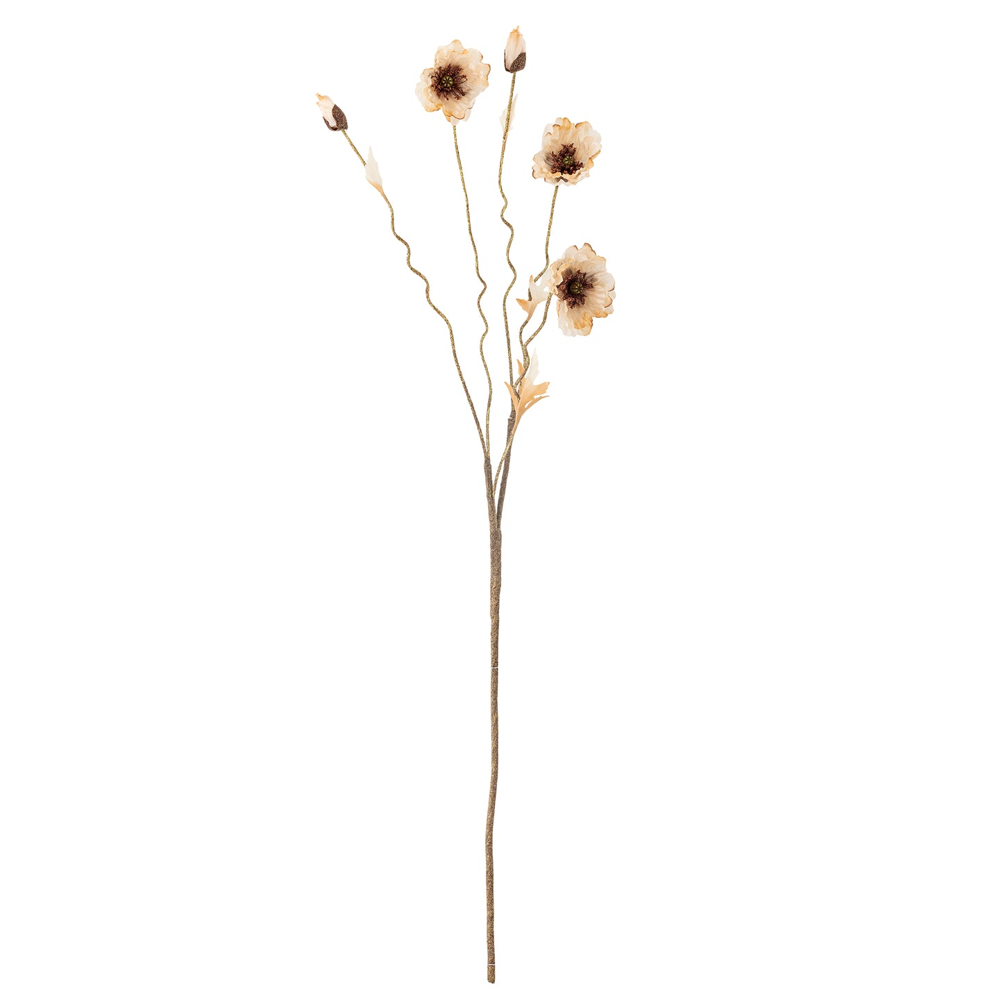 COQUELICOT TIGE NATURE - D16xH104cm