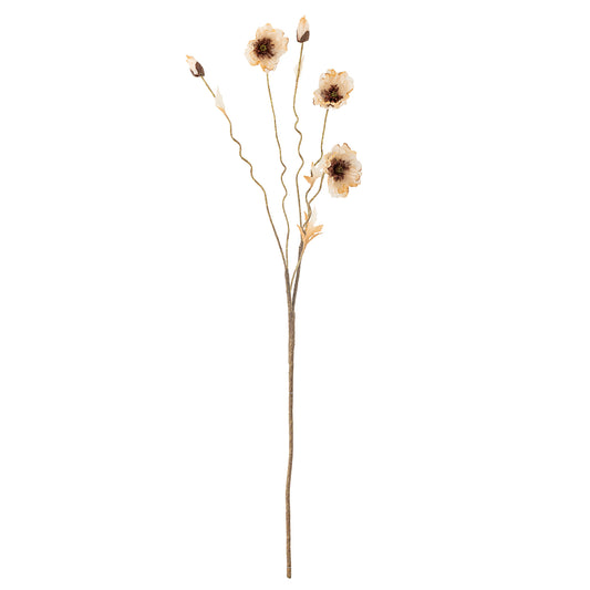 COQUELICOT TIGE NATURE - D16xH104cm
