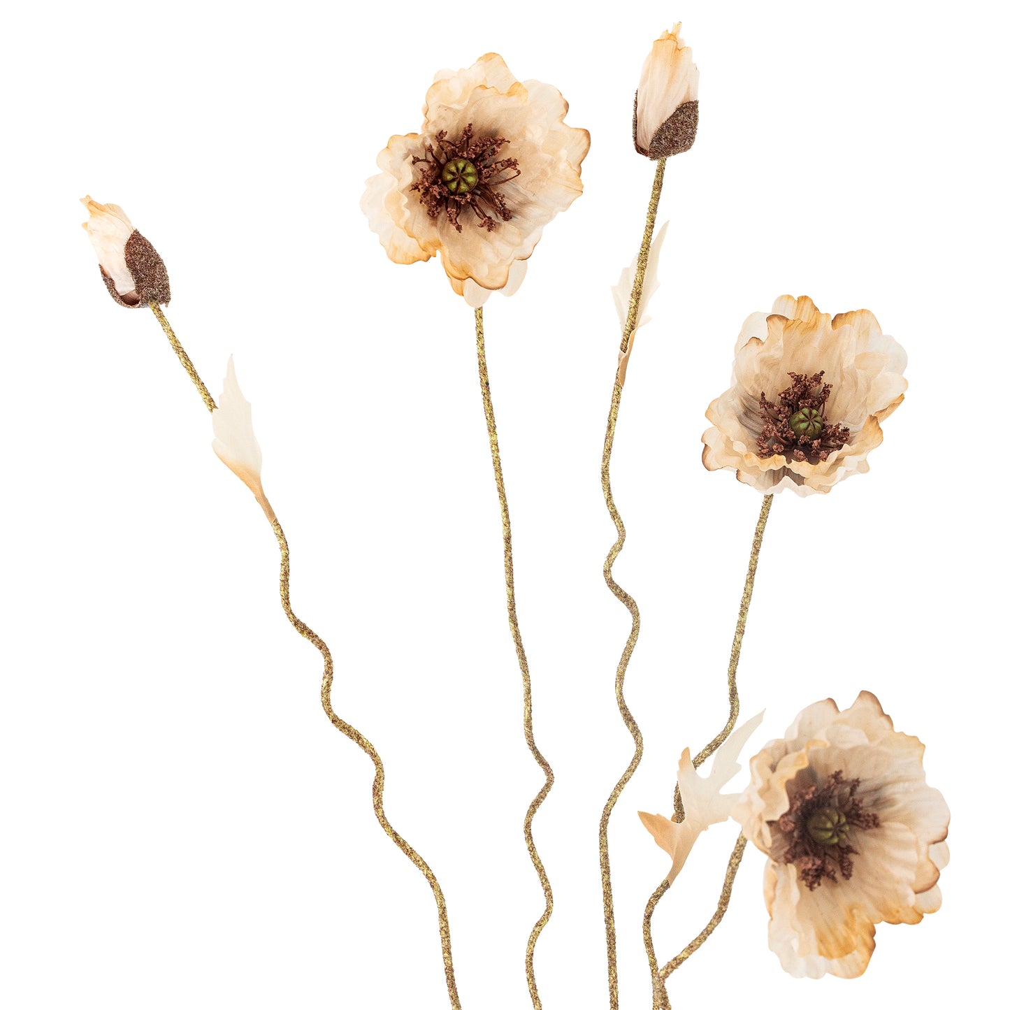 COQUELICOT TIGE NATURE - D16xH104cm