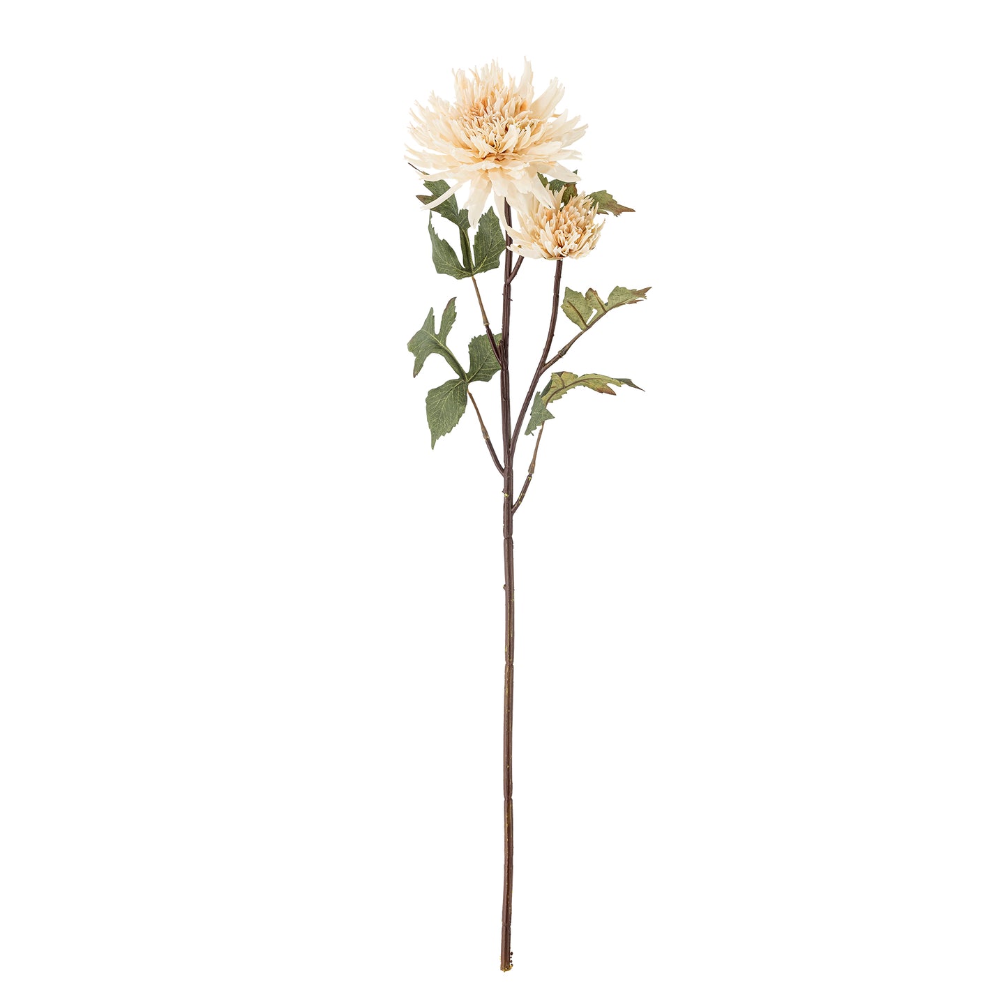 CHRYSANTHEME TIGE NATURE - D25xH80cm