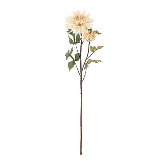 CHRYSANTHEME TIGE NATURE - D25xH80cm