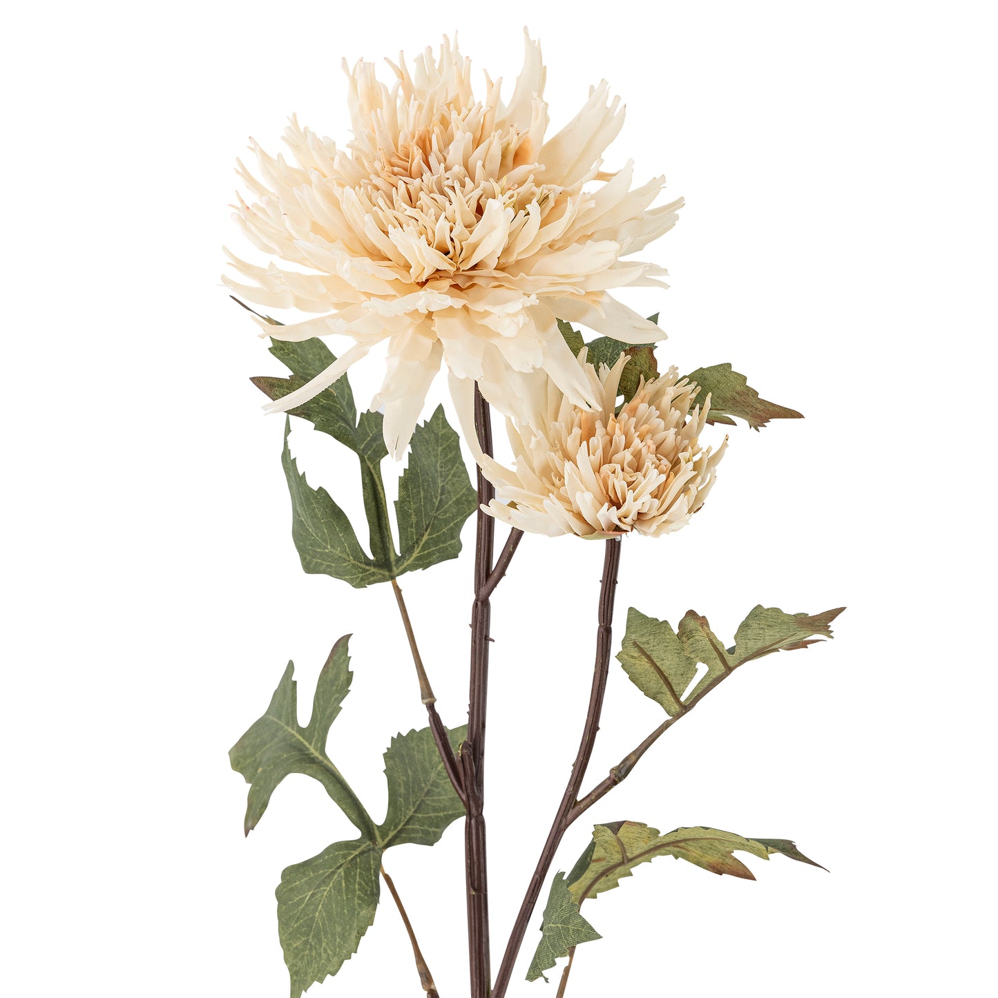 CHRYSANTHEME TIGE NATURE - D25xH80cm