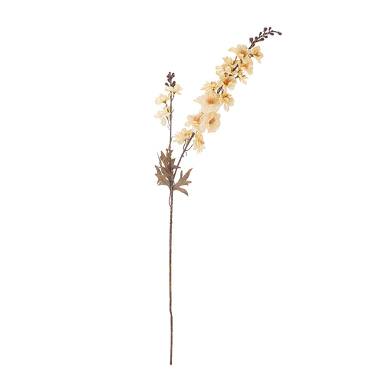 PIEDS D'ALOUETTE TIGE NATURE - D11xH86cm