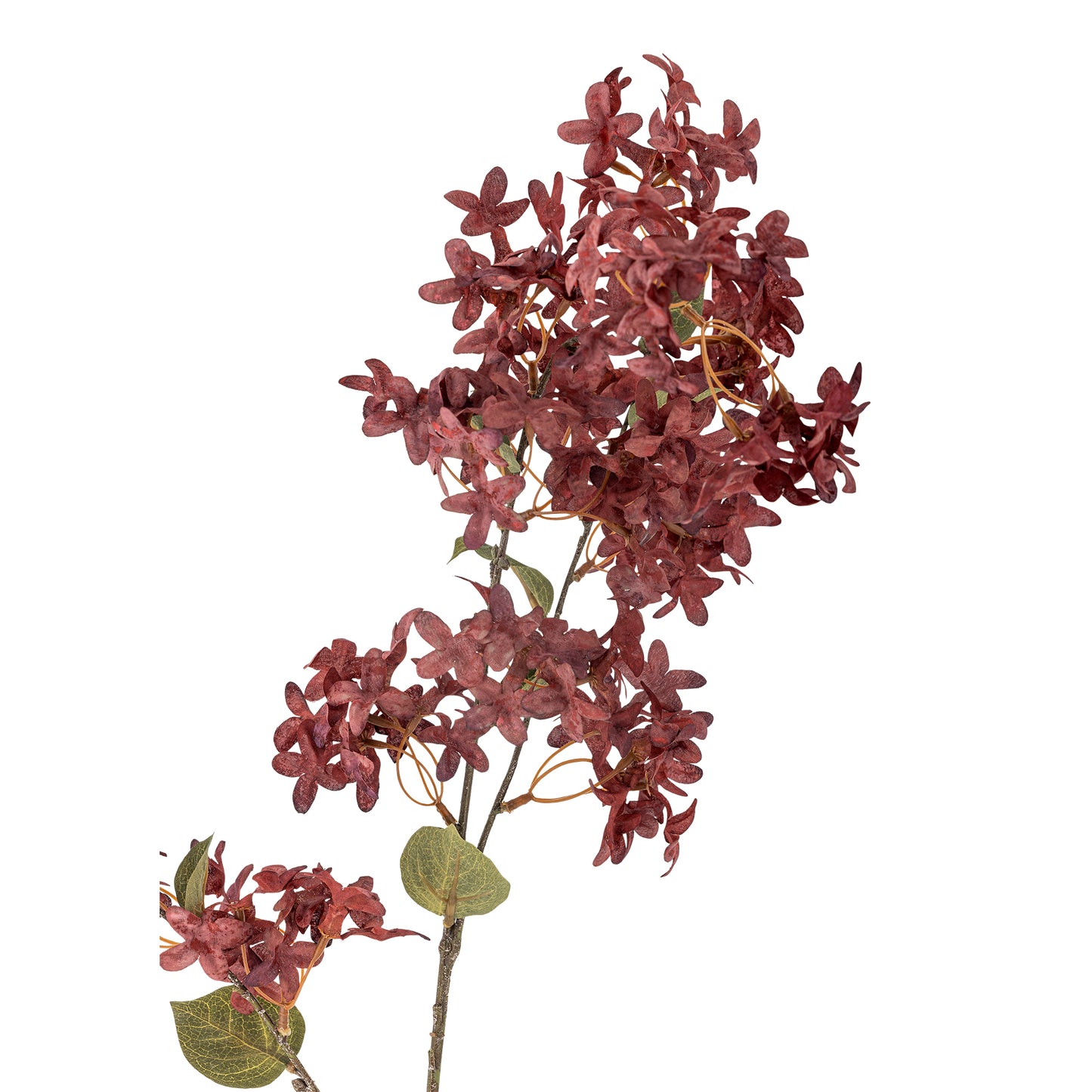 MYRTE TIGE VIOLETTE - D20xH100cm