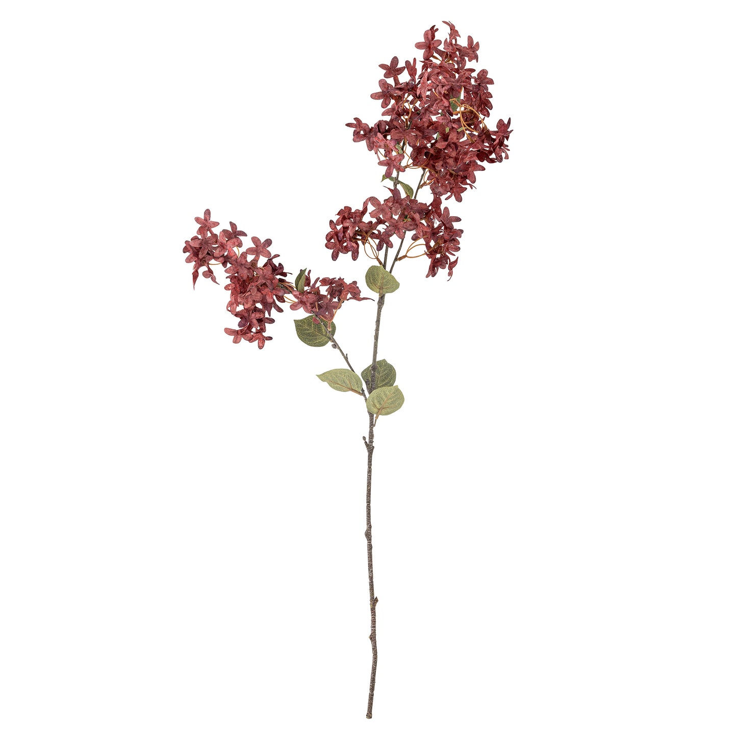 MYRTE TIGE VIOLETTE - D20xH100cm