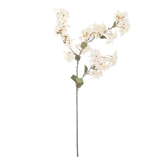 MYRTE TIGE BLANCHE - D20xH100cm