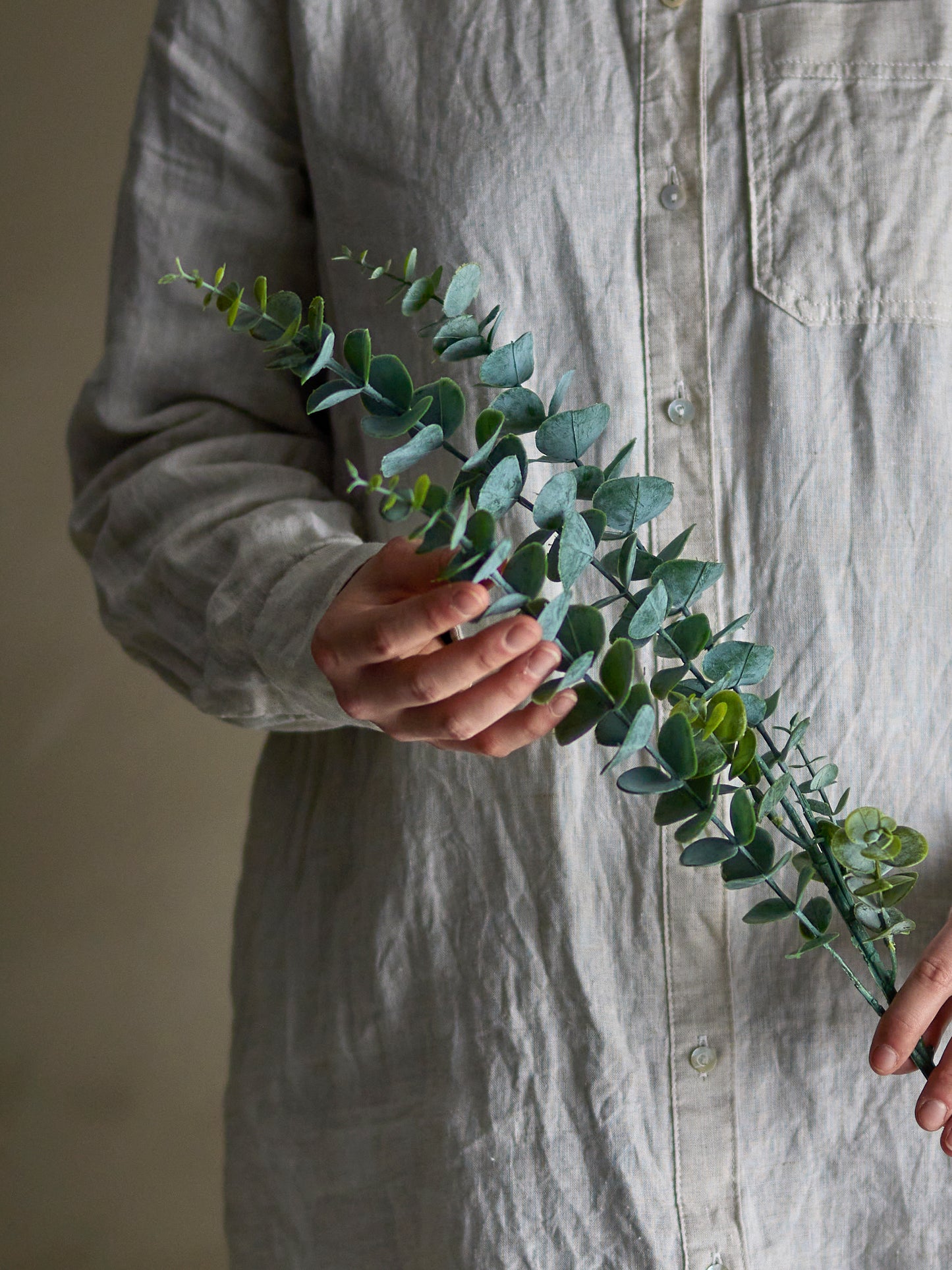 EUCALYPTUS TIGE VERTE - D19xH76cm