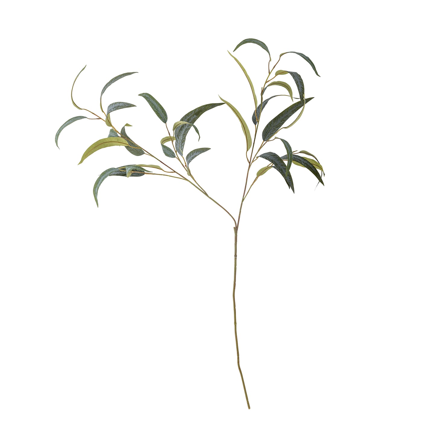 EUCALYPTUS TIGE VERTE - D33xH101cm