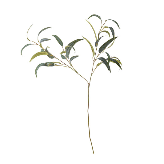 EUCALYPTUS TIGE VERTE - D33xH101cm