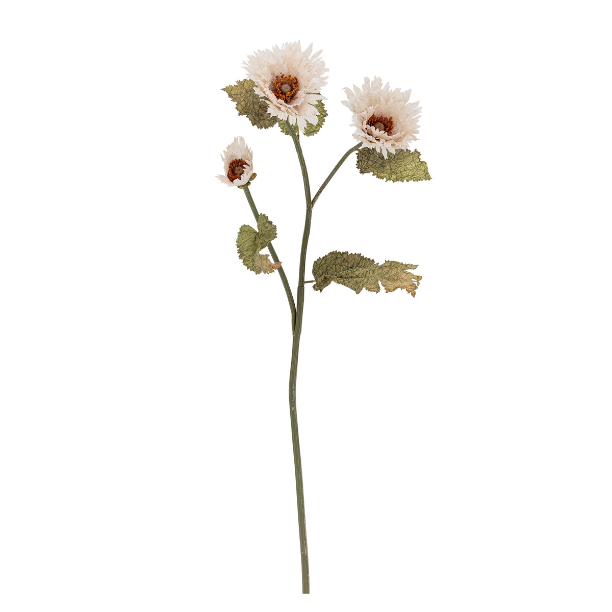 CHRYSANTHEME TIGE BLANCHE - D29xH96cm