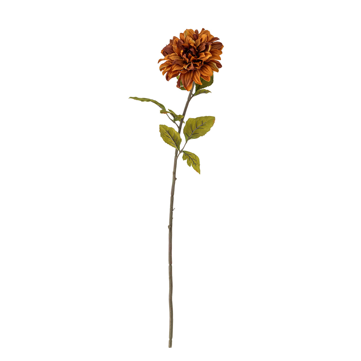 CHRYSANTHEME TIGE ORANGE - D14xH73cm
