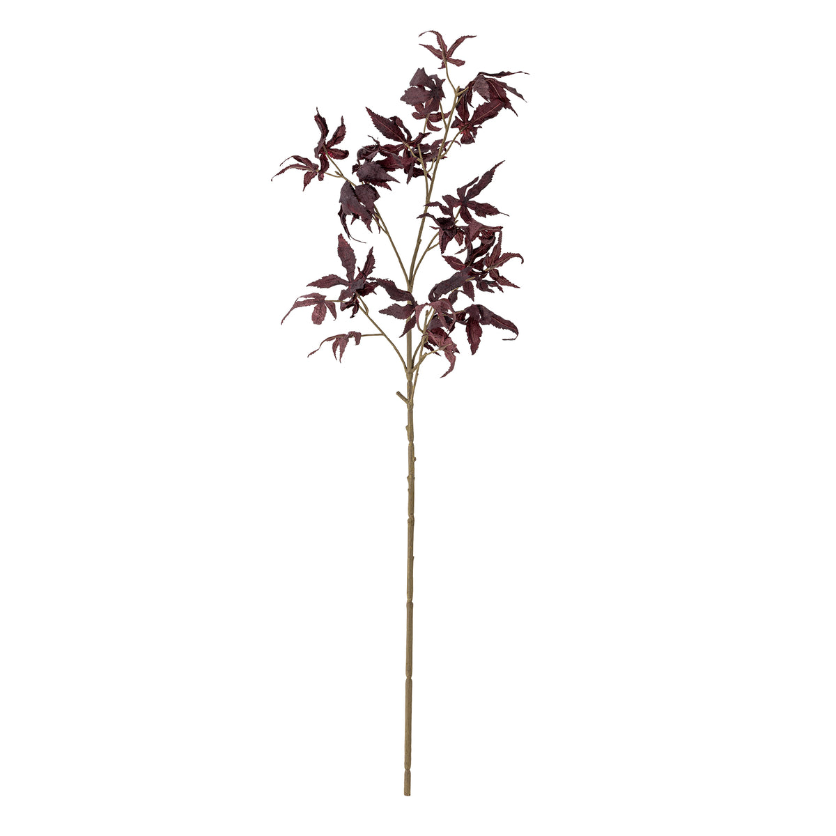 ERABLE TIGE VIOLLETTE - D12xH92cm