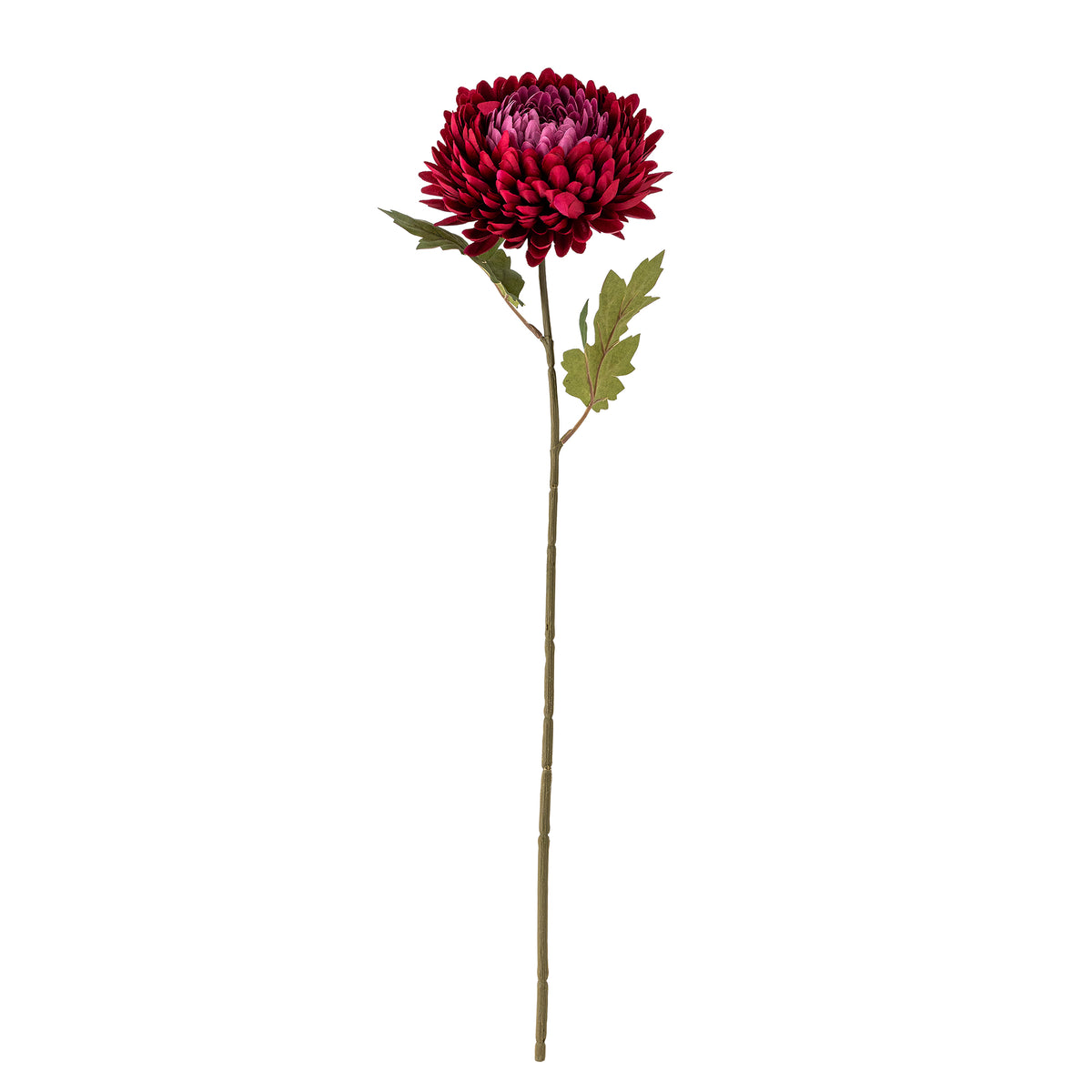 CHRYSANTHEME TIGE ROUGE - D15xH61cm