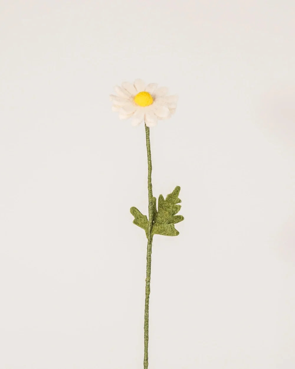 BRANCHE DE MARGUERITE - LAINE FEUTREE