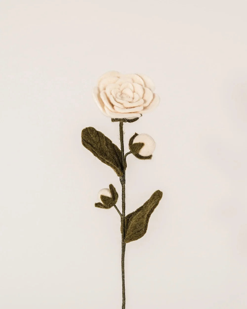 BRANCHE DE CAMELIA - LAINE FEUTREE BLANCHE