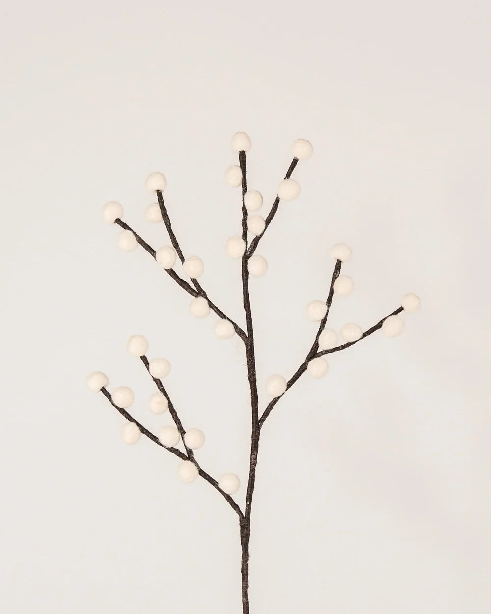 BRANCHE DE BAIES BLANCHES - FEUTRINE