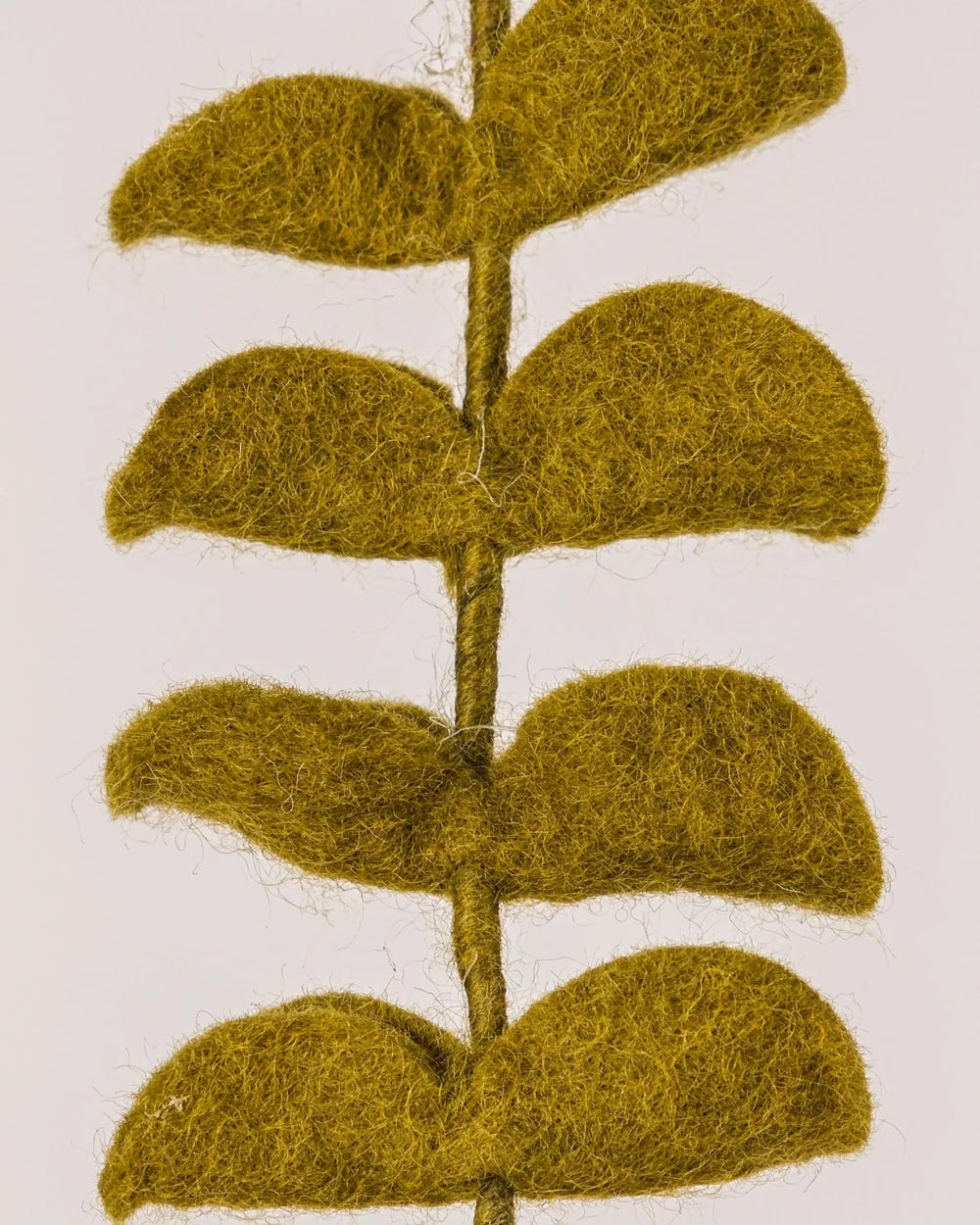 BRANCHE D'EUCALYPTUS VERT - LAINE FEUTREE