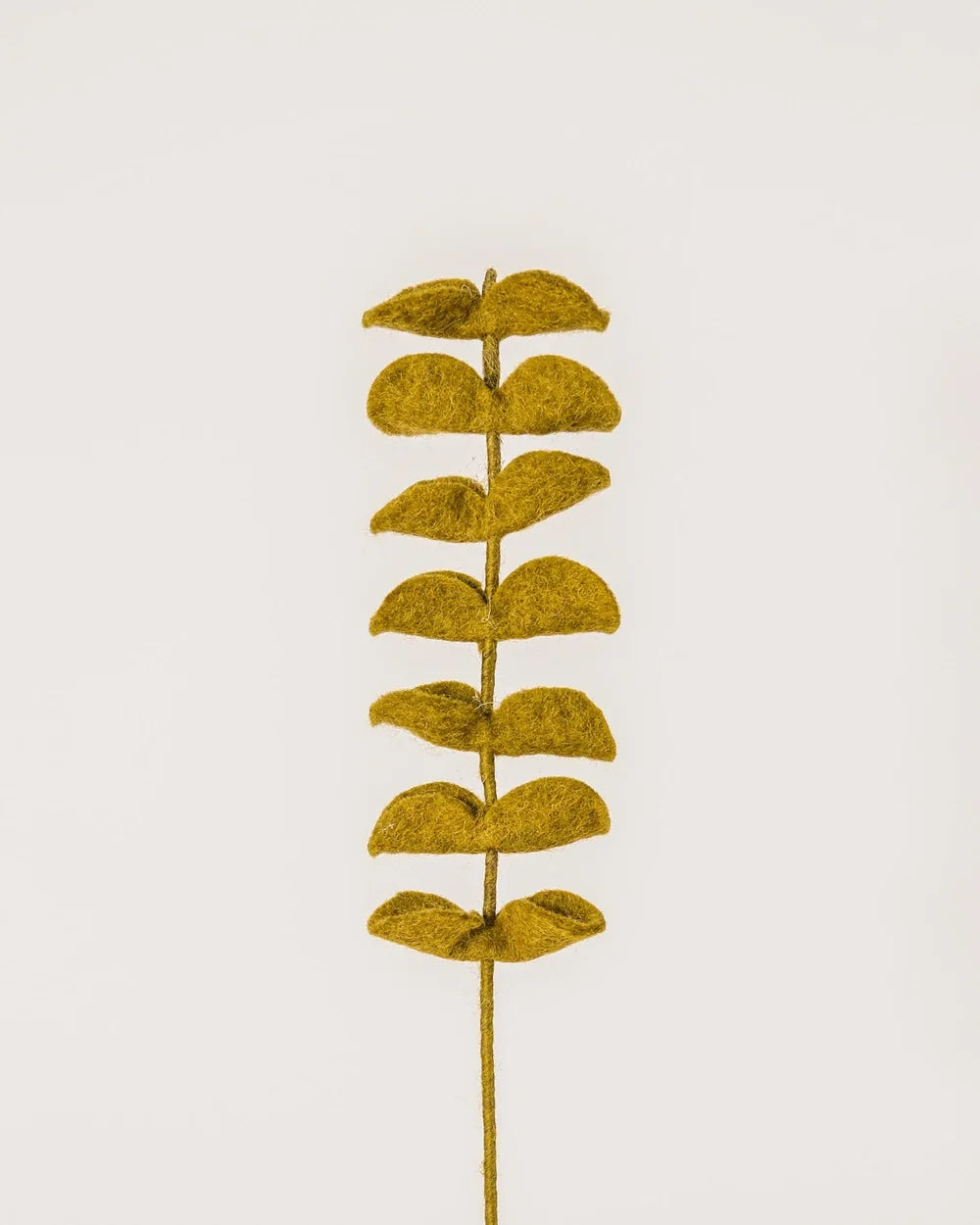 BRANCHE D'EUCALYPTUS VERT - LAINE FEUTREE