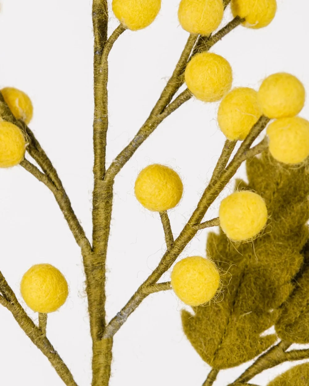BRANCHE DE MIMOSA - FEUTRINE