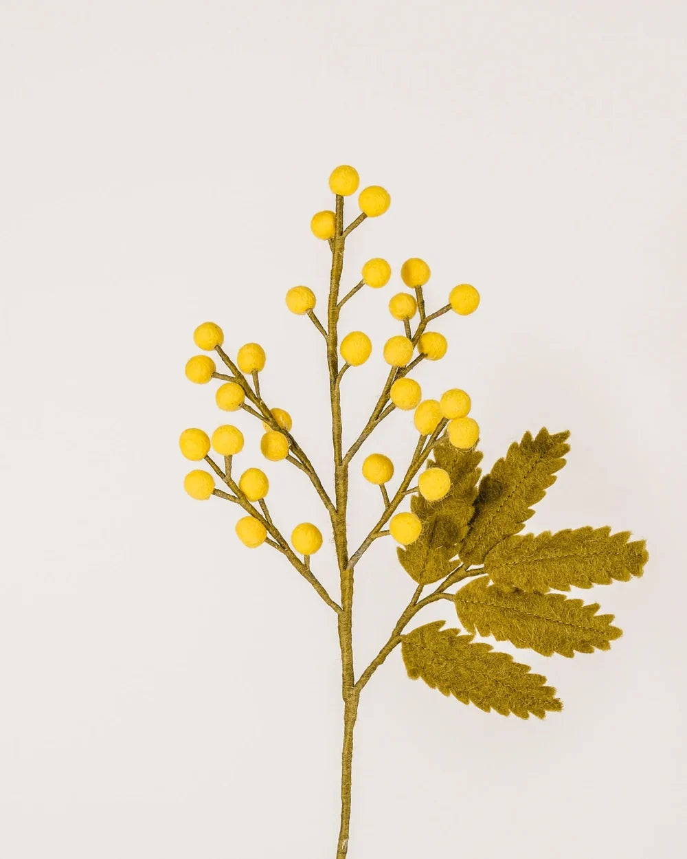 BRANCHE DE MIMOSA - FEUTRINE