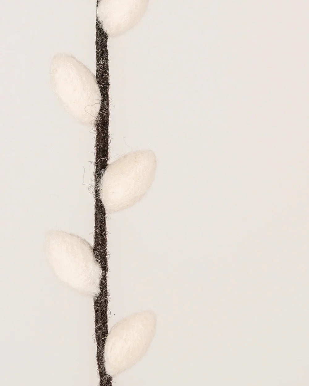 BRANCHE DE CHATON DE SAULE - FEUTRINE