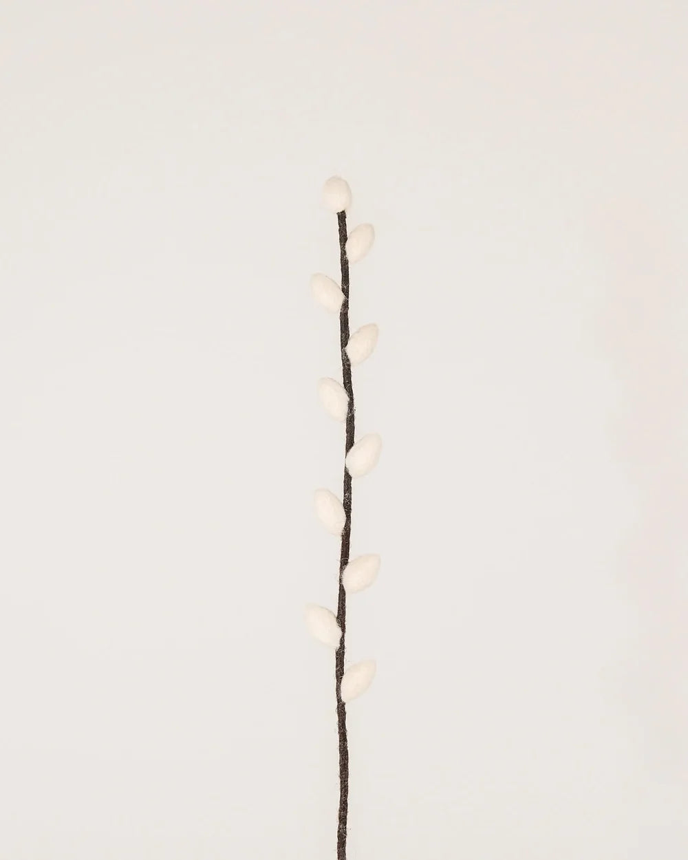 BRANCHE DE CHATON DE SAULE - FEUTRINE