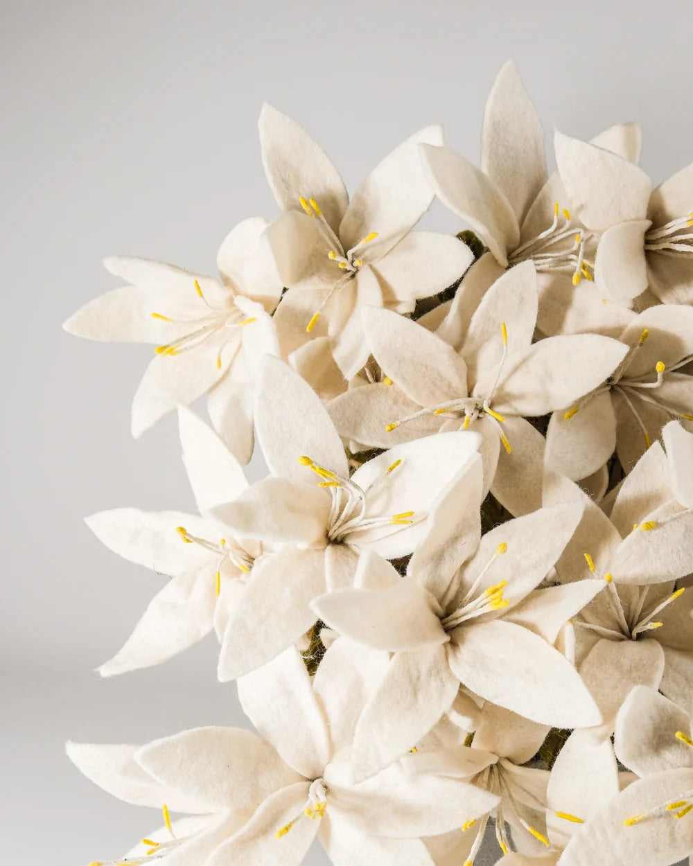 BRANCHE DE LYS - LAINE FEUTREE